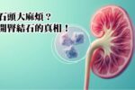 腎結石的真相