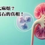 腎結石的真相