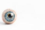 仿生眼革命: AI eyes