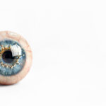 仿生眼革命: AI eyes