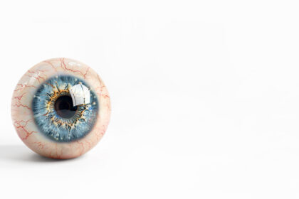 仿生眼革命: AI eyes