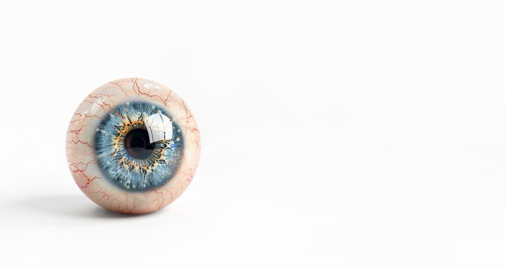 仿生眼革命: AI eyes