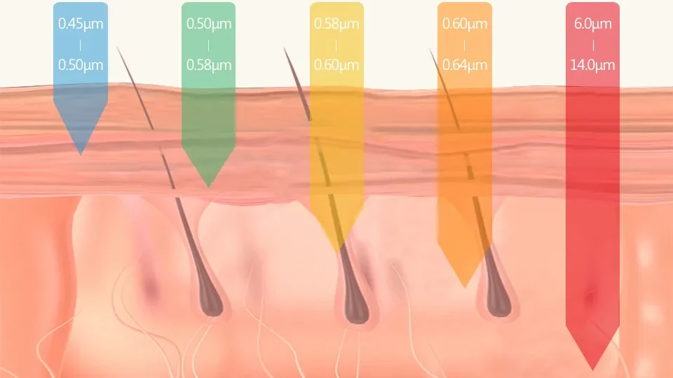 遠紅外線滲透的光波滲入人體細胞組織中